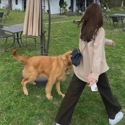赤足天使